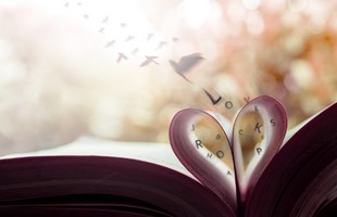 soin des mémoires Akashiques soin des mémoires akashiques lecture et libération